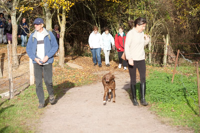 Rando Entre Deux O 2011-2911.jpg